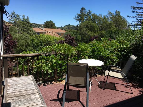 Apartment for Rent in Mill Valley